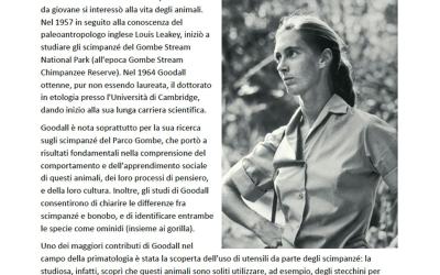 Camera Singola con Bagno Privato