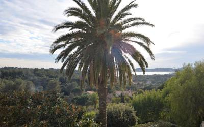 Chambre Double - Vue sur Mer