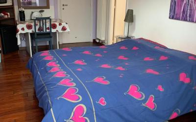 Camera Matrimoniale/Doppia con Letti Singoli con Bagno Privato