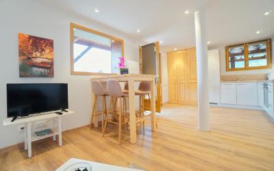 Appartement 1 Chambre