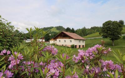 Chambre Triple Confort avec Douche Chambre Triple Confort avec Douche