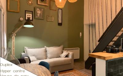 Appartement 1 Chambre Appartement 1 Chambre