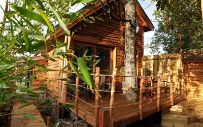 Chalet 1 Chambre
