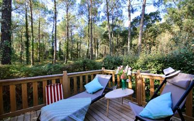 Cottage Cocoon Cottage Cocoon