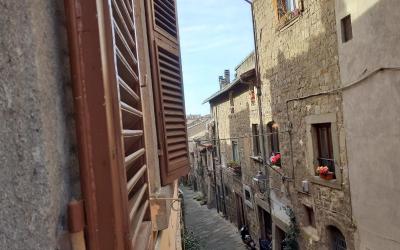 Camera Superior Matrimoniale/Doppia con Letti Singoli 