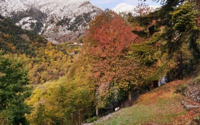 Appartement - Vue sur Jardin