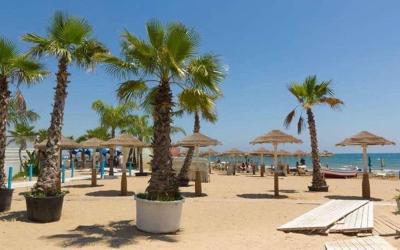 Appartamento con 1 Camera da Letto