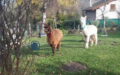 Maison 3u00a0Chambres