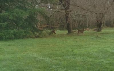 Chambre Double avec Salle de Bains Privative