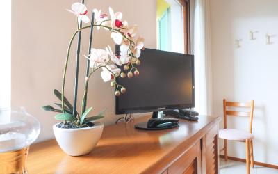 Appartamento Monolocale