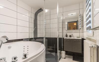 Appartement 1 Chambre avec Baignoire Spa
