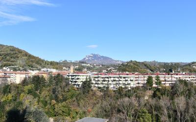 Camera Matrimoniale/Doppia con Letti Singoli con Balcone e Vista Panoramica 