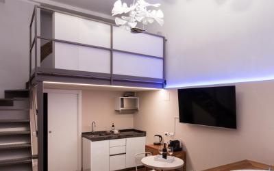 Monolocale su 2 Livelli