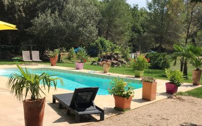 One-Bedroom Chalet - Annex