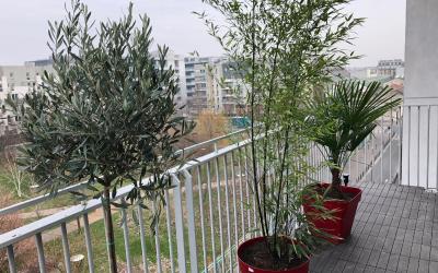 Appartement 3u00a0Chambres Appartement 3u00a0Chambres