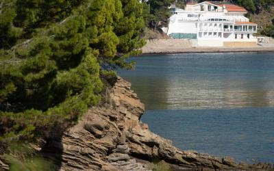 Camera Quadrupla Standard 