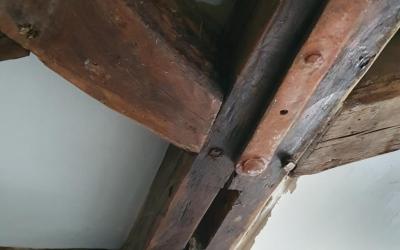 Chambre Lit King-Size - Vue sur Jardin