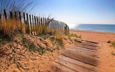 Appartement 1 Chambre