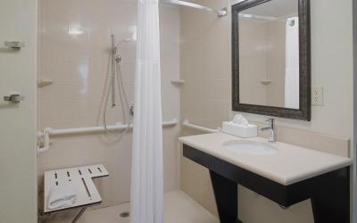 Queen Room with One Queen Bed and Hearing Accessible Roll In Shower - Non-Smoking