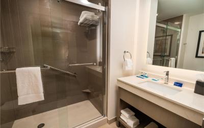 King Studio Suite with Kitchen and Sofa Bed