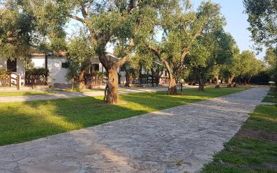 Bungalow con Vista Giardino