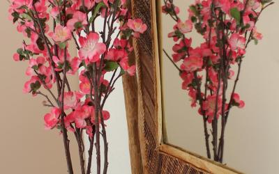 Studio avec Terrasse