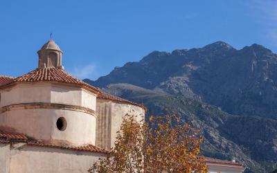 Appartement 1 Chambre