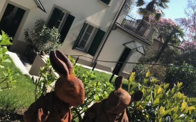 Appartamento con 1 Camera da Letto