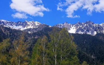 Lit dans Dortoir Mixte de 8 Lits 