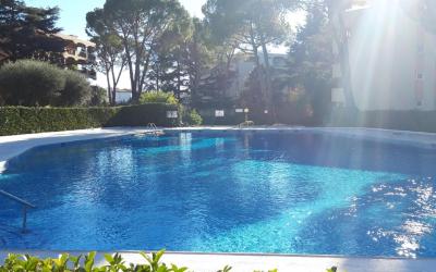 Appartement 1 Chambre