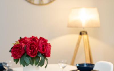 Appartement 1 Chambre