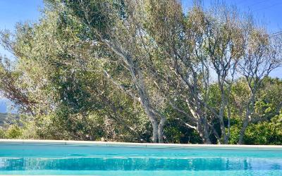 Villa avec piscine privu00e9e et vue sur la mer 