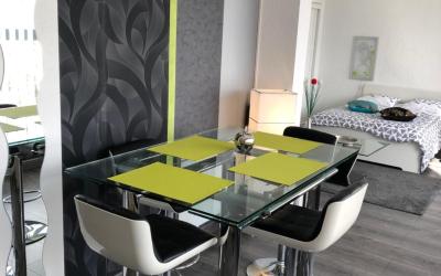 Appartement 1 Chambre