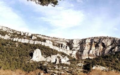 Appartement 1 Chambre