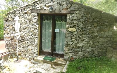 Studio Standard Studio Standard