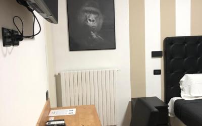 Camera Tripla Deluxe 