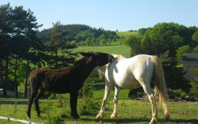 Chambre Double - Vue sur Jardin Chambre Double - Vue sur Jardin