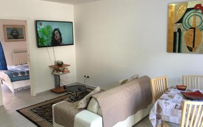 Appartamento con 1 Camera da Letto