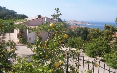 Appartement - Vue sur Mer