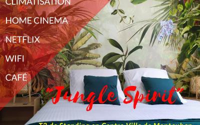 Appartement 1 Chambre Appartement 1 Chambre