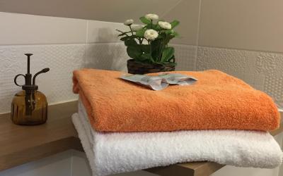 Chambre Lits Jumeaux avec Douche  Chambre Lits Jumeaux avec Douche