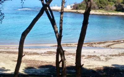 Appartamento con 2 Camere da Letto