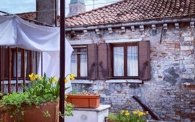 Appartamento con 1 Camera da Letto