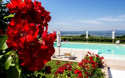 Camera Matrimoniale/Doppia con Letti Singoli