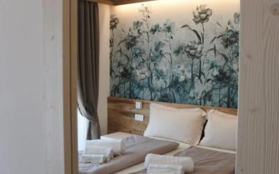 Camera Matrimoniale/Doppia con Letti Singoli con Vista Lago.