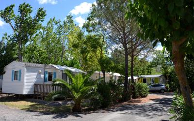 Mobile Home