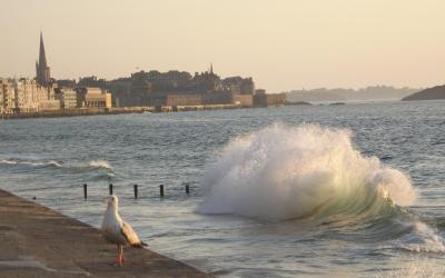 Appartement 1 Chambre Appartement 1 Chambre