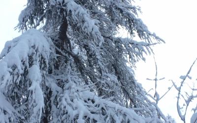 Appartement 2 Chambres Appartement 2 Chambres