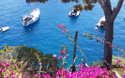 Chalet con 1 Camera da Letto