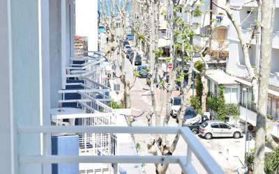 Camera Quadrupla Premium 